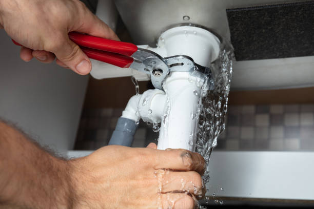 Best Mold removal after water damage  in Mckinleyville, CA