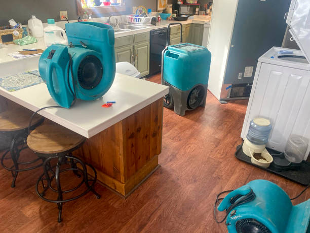 Best Sewage cleanup and water damage restoration  in Mckinleyville, CA
