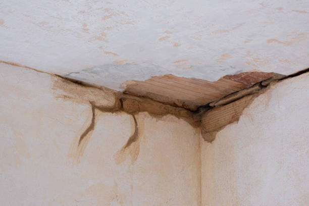Best Flood restoration services  in Mckinleyville, CA