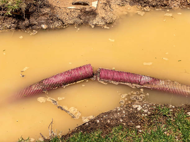 Best Water damage restoration company  in Mckinleyville, CA